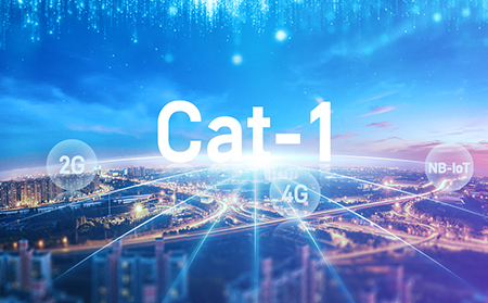 2G退、4G貴、NB慢，未來中低速率物聯(lián)網(wǎng)市場，還得看CAT-1
