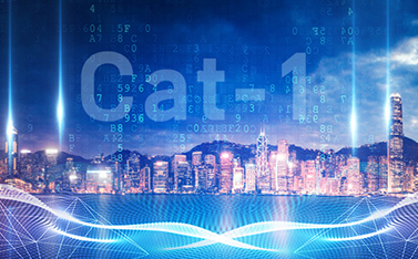 工信部重磅發(fā)文，Cat-1/NB-IoT再次站上新風(fēng)口