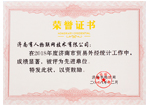 外貿(mào)外經(jīng)共計(jì)先進(jìn)單位榮譽(yù)證書(shū)