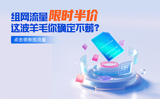 組網(wǎng)流量限時半價！你還在等什么？